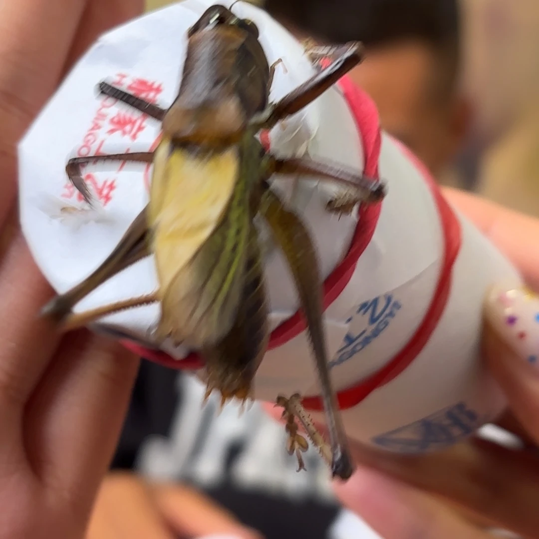 j***e蝈蝈蝈蝈福福价格