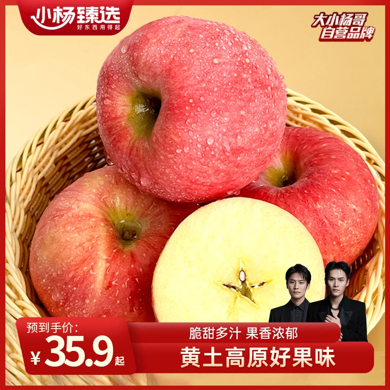 【小杨臻选&自然搭档】陕西延安红富士苹果