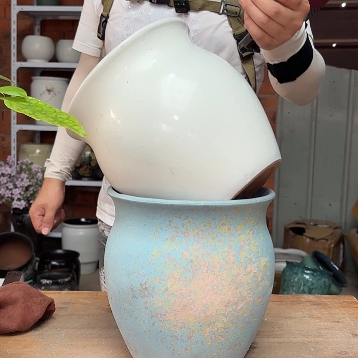 西***西正品高23口21两个