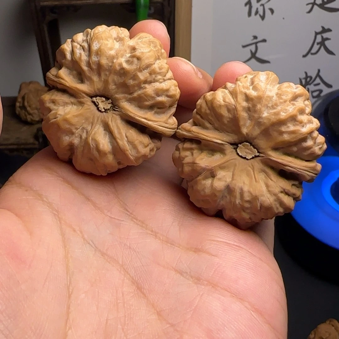 斯***胤42✖️45尺红皮蛤蟆头