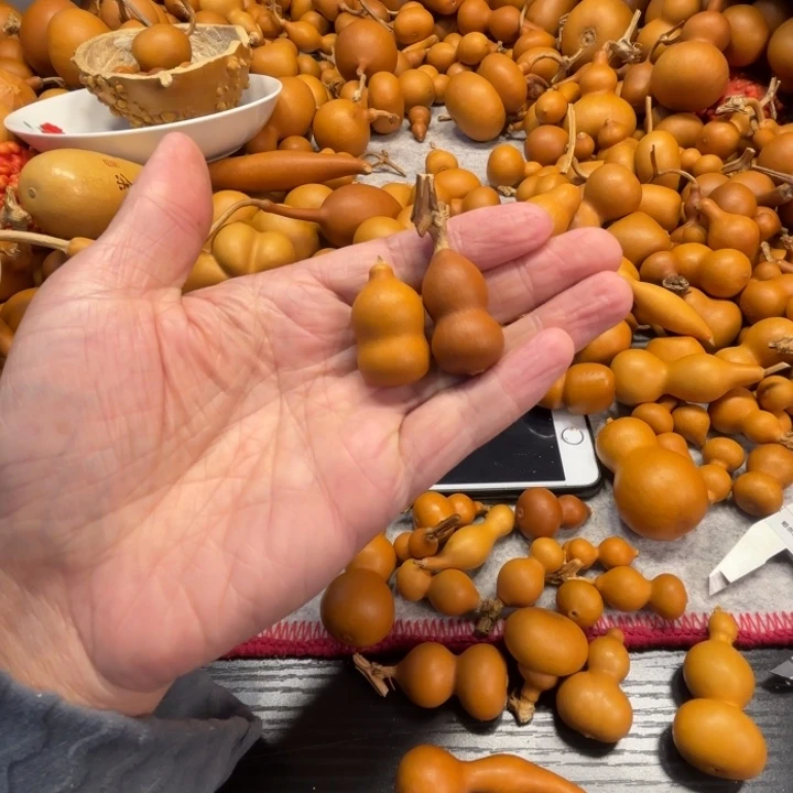 荔***喵荔枝猫荔枝的两个草莓金