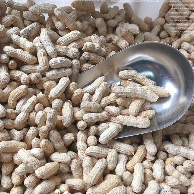 【酒妹助农】农家干花生带壳【拍一5斤】