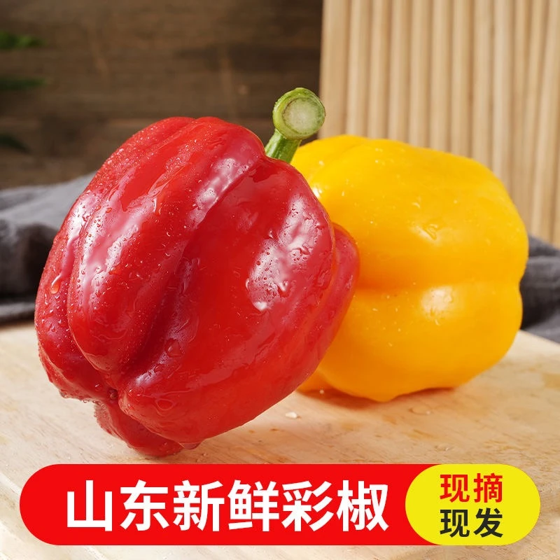 新鲜现摘山东红黄双色水果彩椒生吃微甜不辣【精品】
