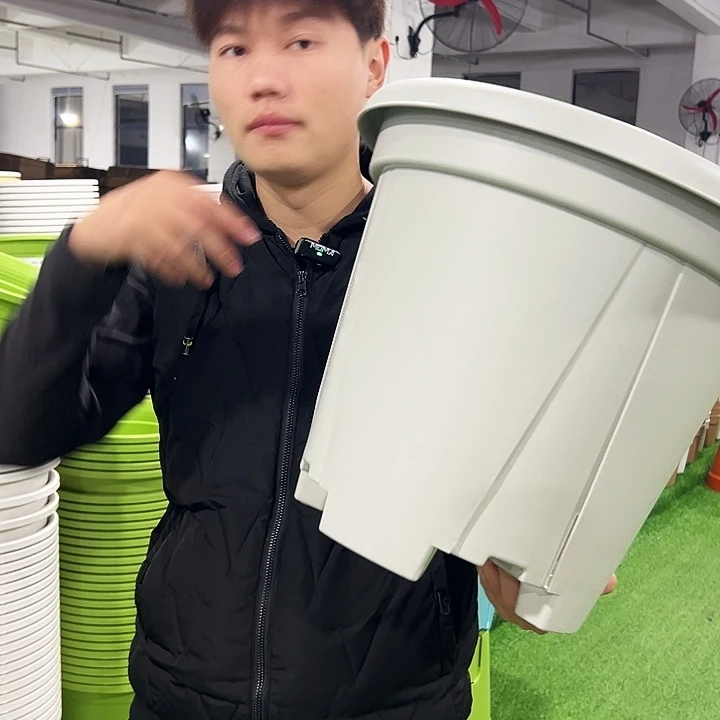 清仓青山口40高34果绿色3只无托