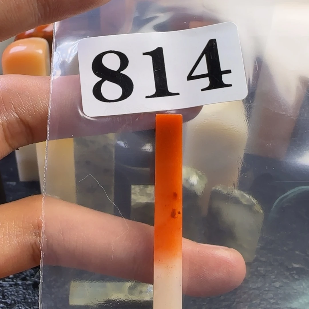 老挝石龟*人jjkkkkkkkkkkkm