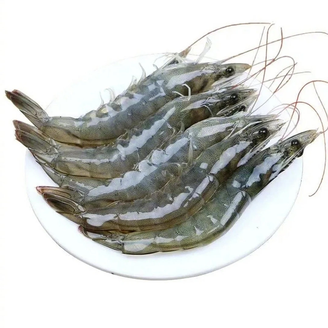 中个活虾虾（5斤保鲜不保活）