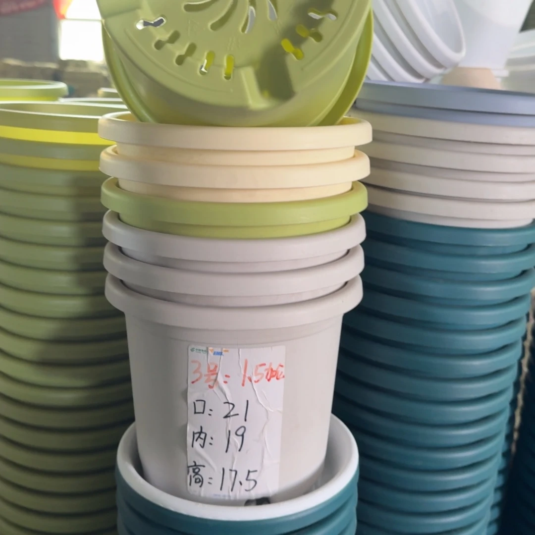 四季3#口径21带拖果绿10套