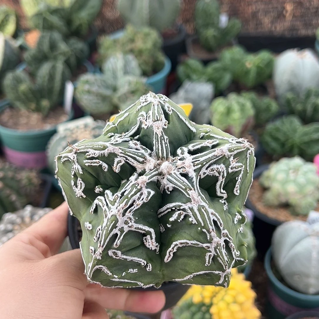 好饿呃呃呃呃呃呃呃