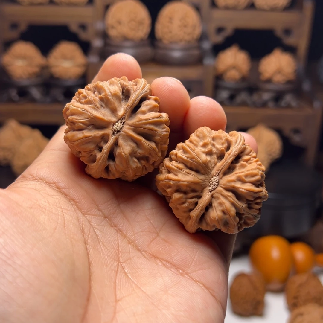 文玩核桃把件41大粗筋