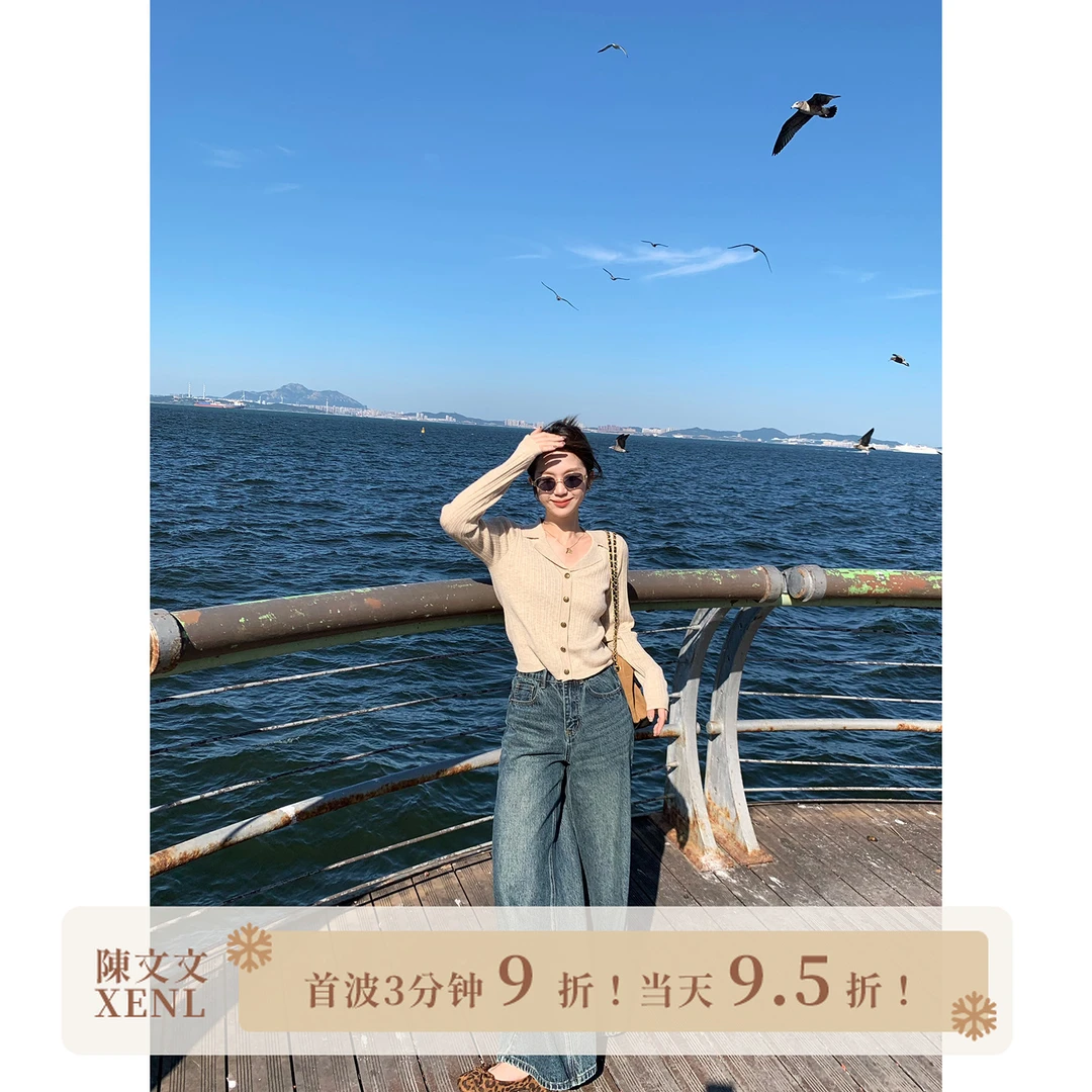 陳文文xenl【卡布奇诺】秋季新款气质百搭显瘦v领羊毛针织衫0073