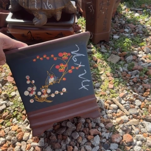 紫砂花盆紫砂花盆盆景盆栽