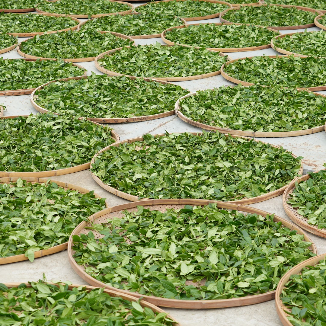 叶时代双11限定套组/茶叶套组（限22套）