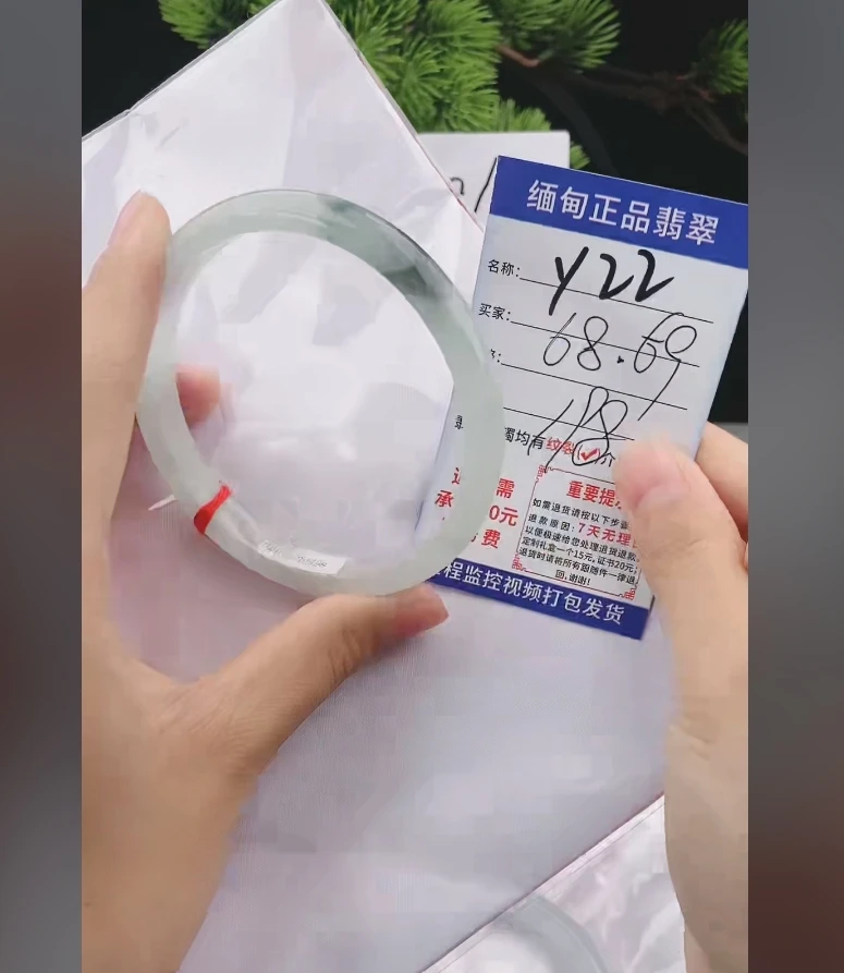 Y22缅甸翡翠手镯处理198/条【一物一证】实物以直播间为准