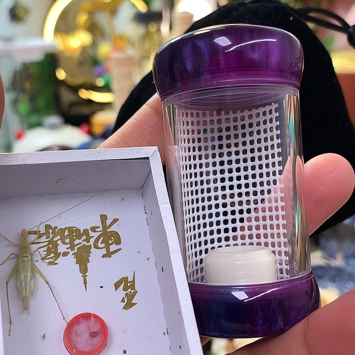 带过虫器啊啊啊啊啊啊