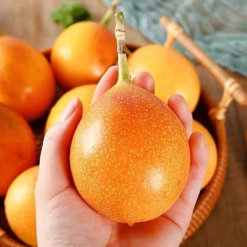 云南热情果现摘现发哥伦比亚热情果现摘现发孕妇水果