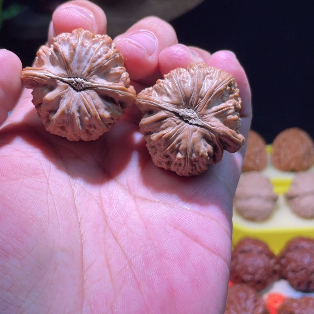 把件文玩核桃38全品卡姿兰老款红皮满肉白狮子