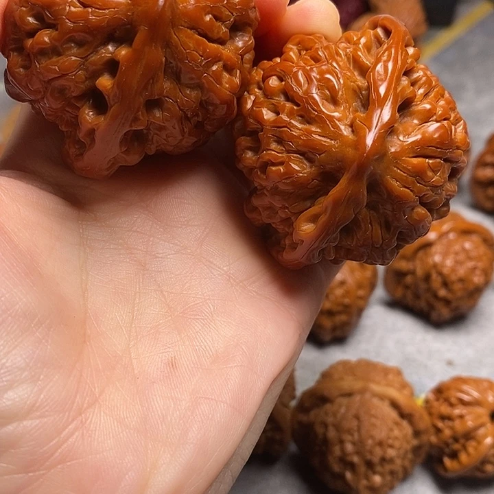 等****大叶紫檀（黑酸枝木类）