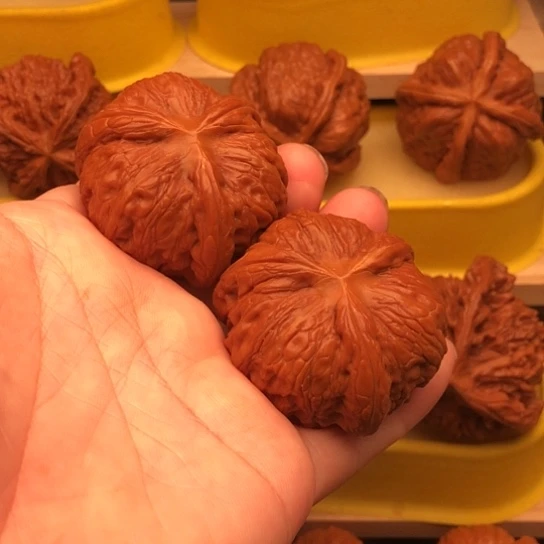 狂***手核桃核桃核桃核桃