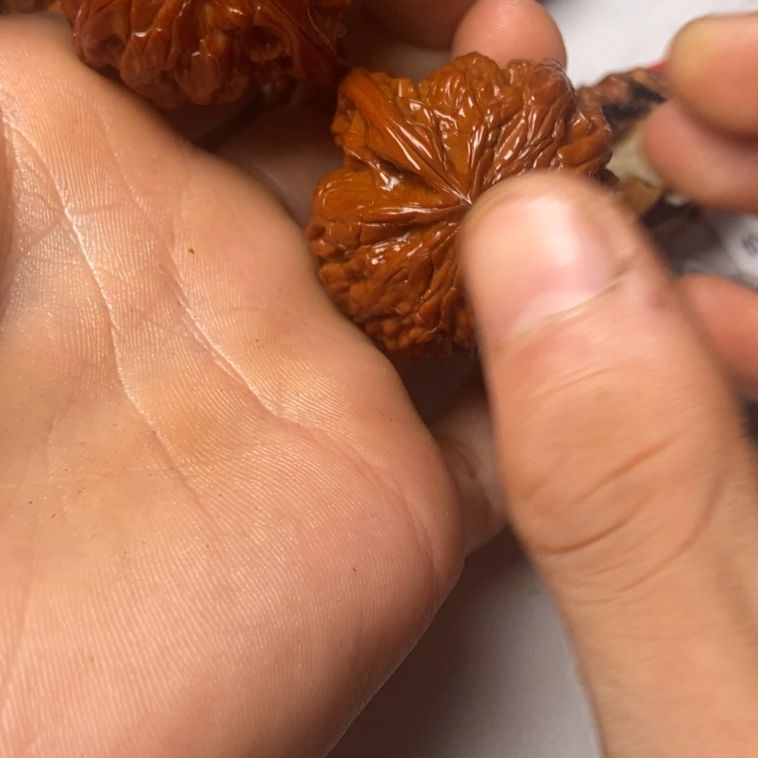 大叶紫檀（黑酸枝木类）