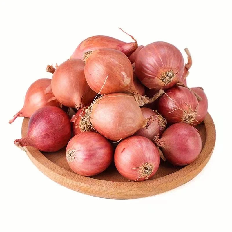 【超低价】东北毛葱头生吃葱笨毛葱新鲜小葱头0.5/1/2/3/5斤包邮