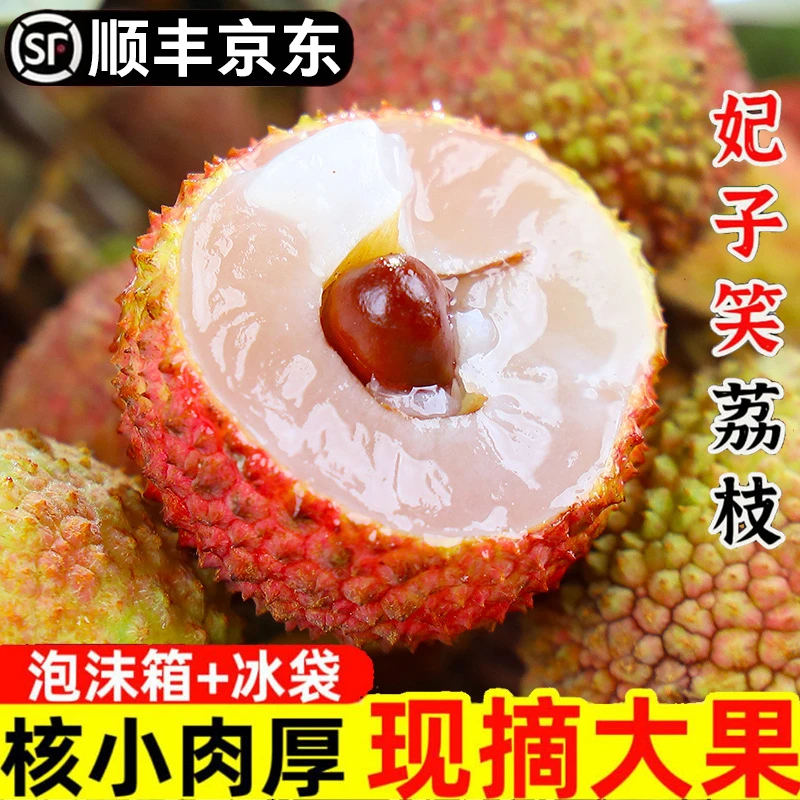 6-27日现货【明日达顺丰京东】LM海南直采老树荔枝新鲜水果妃子笑0.5斤-5斤装