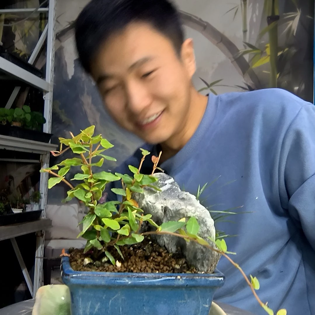 金***嘻中青园艺一物一拍474