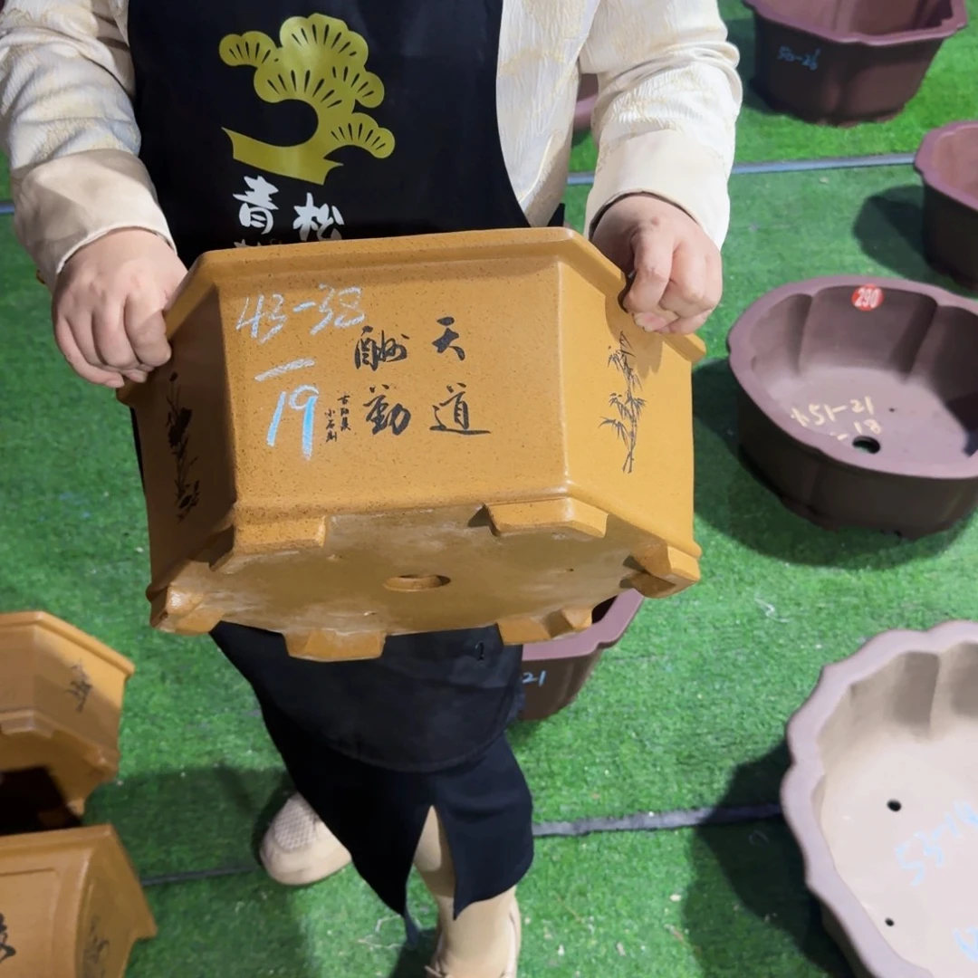 花盆紫砂紫砂花盆
