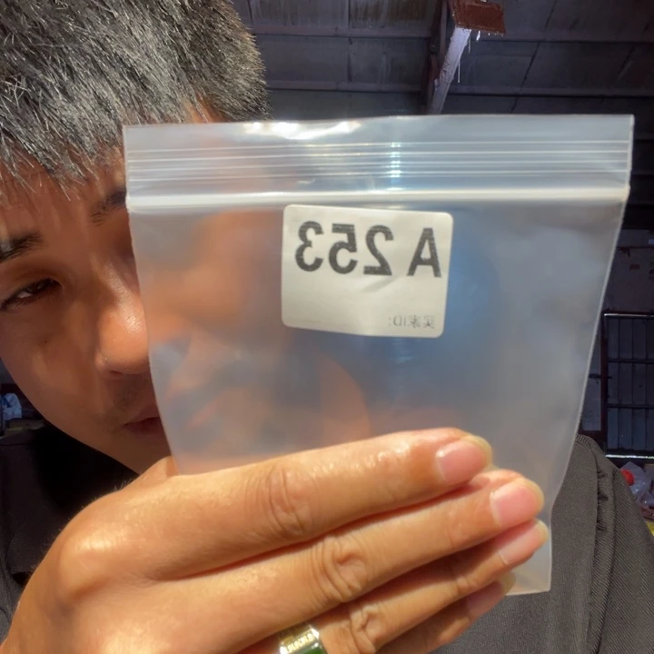 大叶紫檀（黑酸枝木类）253