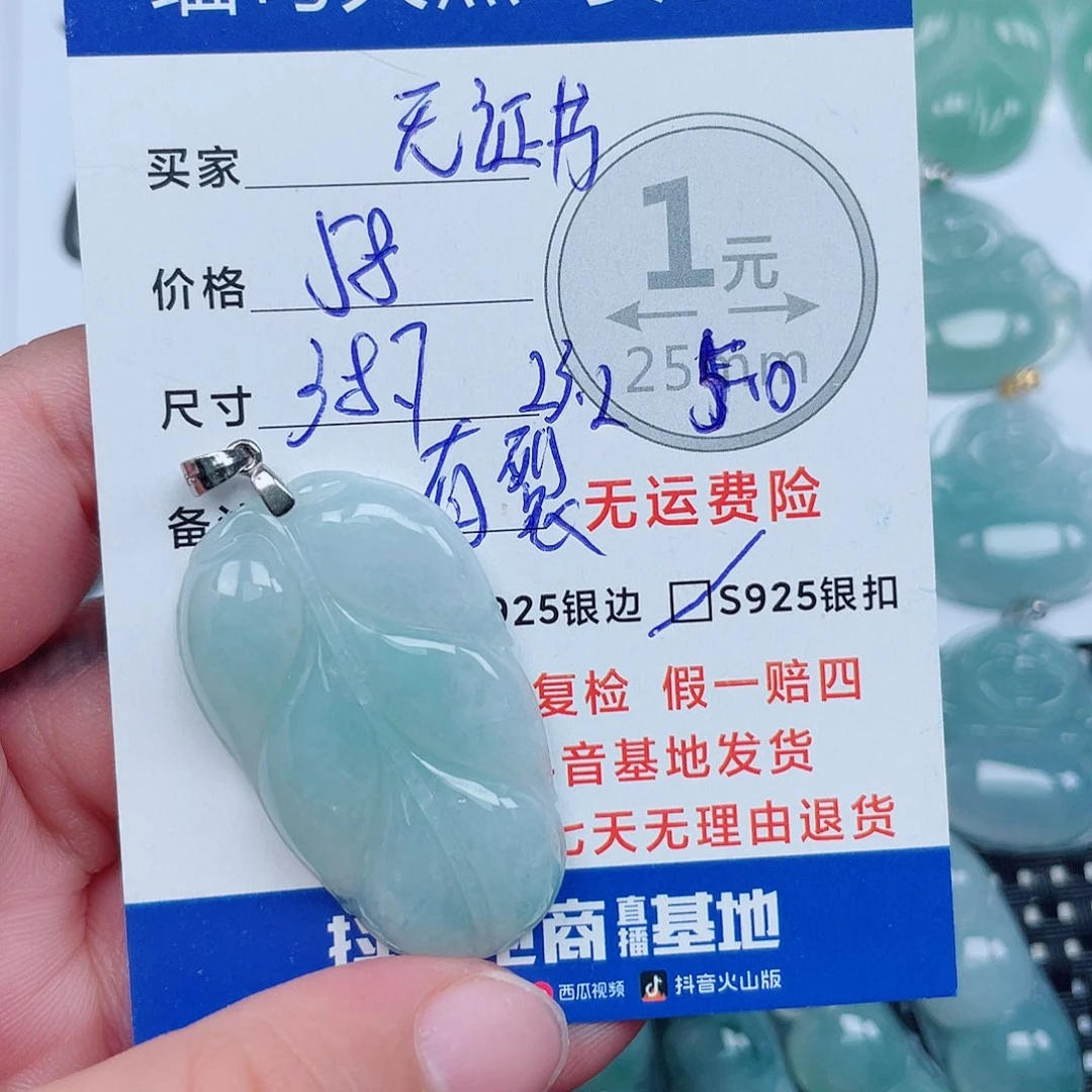 翡翠银S925镶嵌颈饰