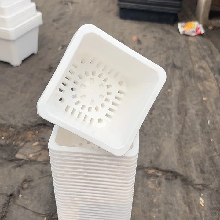 9公分白方盆12个