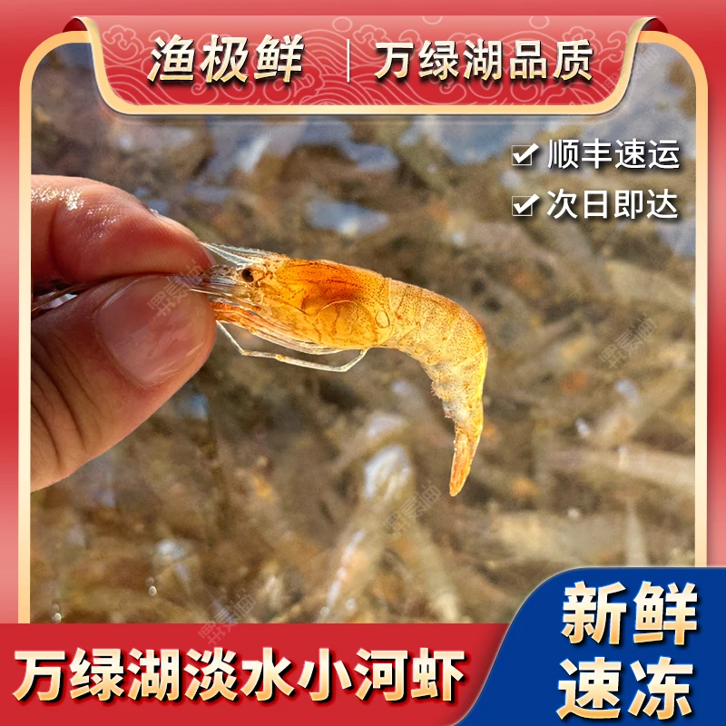 【全国顺丰次日达】万绿湖小河虾-新鲜现捞活虾现冻冰鲜发-2斤个头小高蛋白低脂肪老少皆宜爆炒椒盐下酒菜