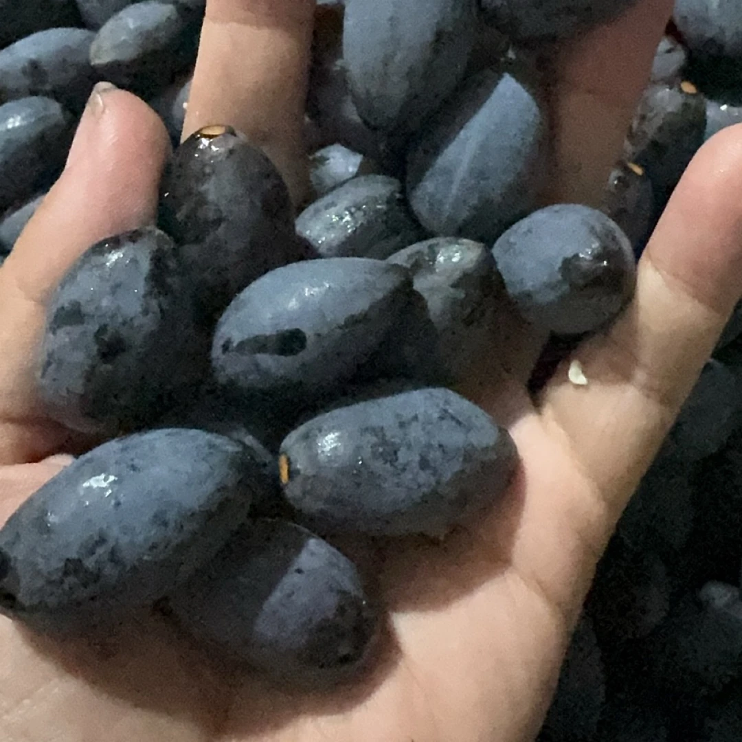 广西乌橄榄新鲜发货2斤5斤9斤