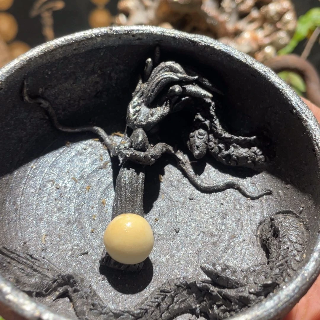 开窑啦出窑大吉大利