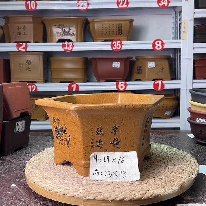 紫砂花盆蛇年大吉