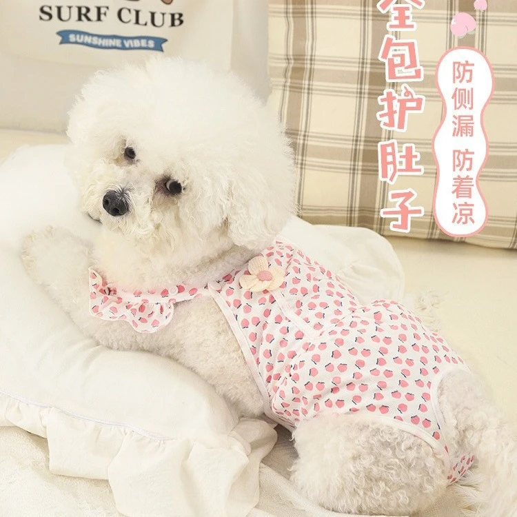 狗狗生理裤宠物母狗比熊安全裤生博美泰迪女小型犬月经姨妈裤