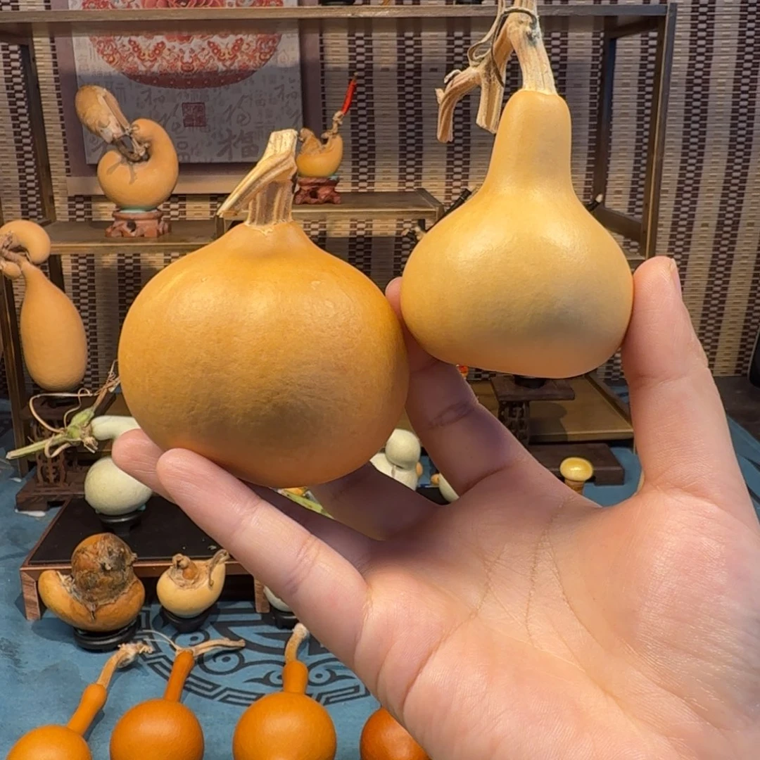 禾***木两把手把双胞胎连体