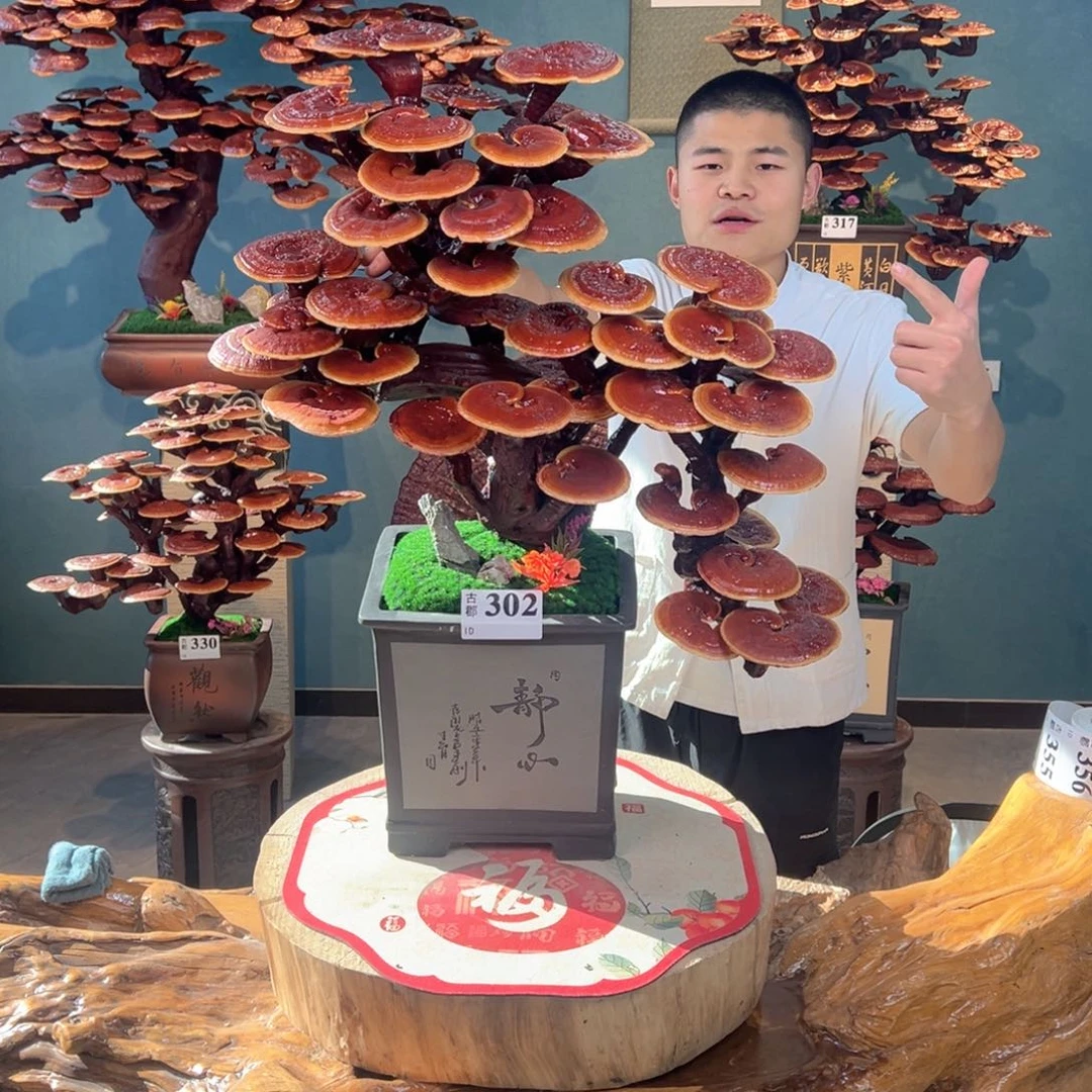 无花朵888888888888