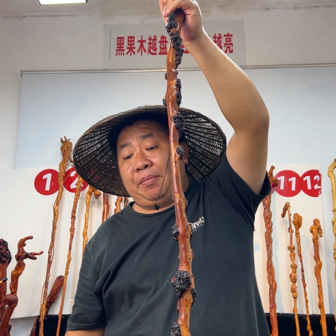 *****黑果木其他黑果木619