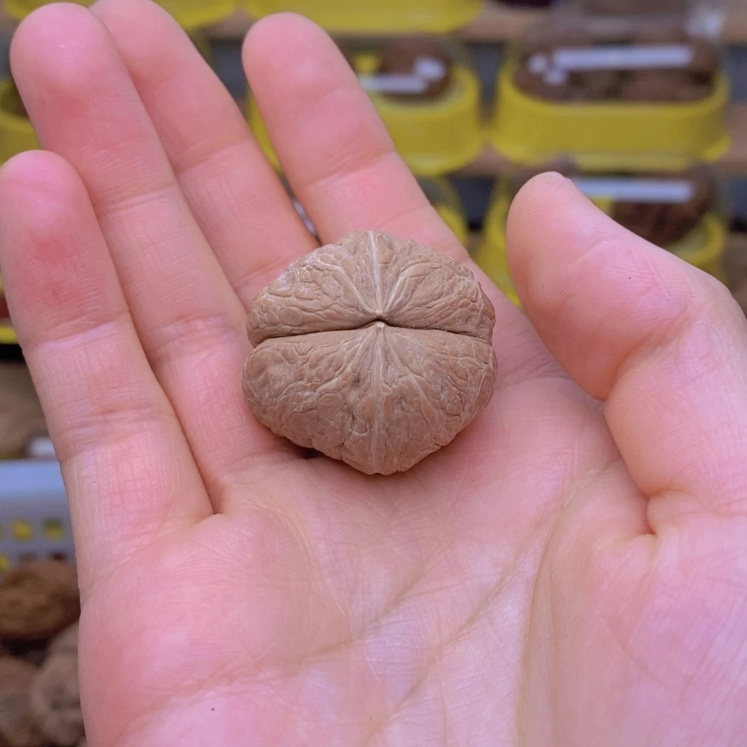把件文玩核桃大**秋