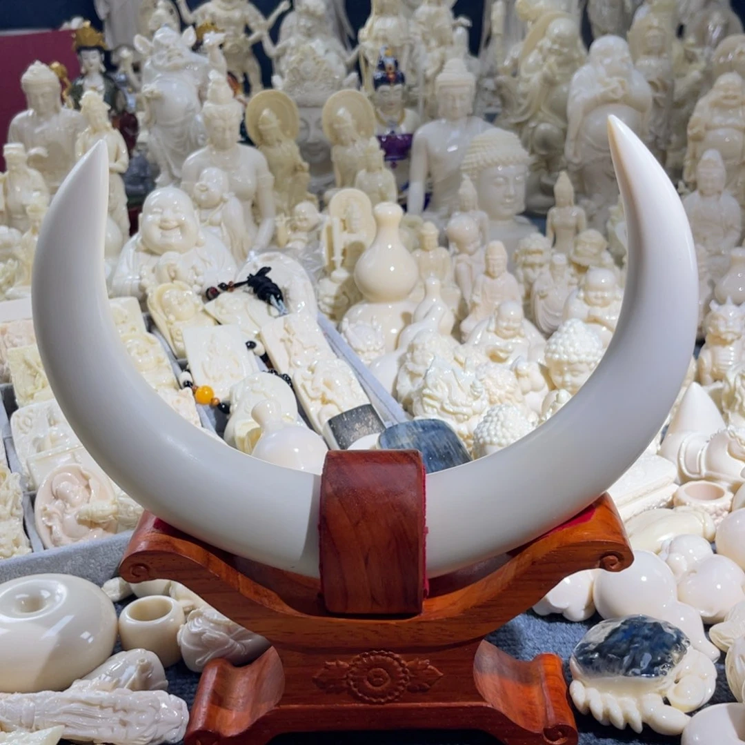 D**学对牙尖一对