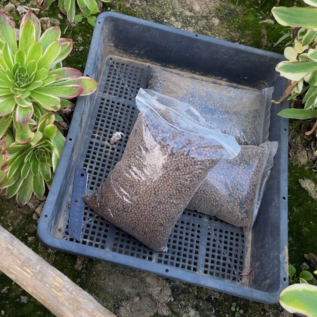 肥料多肉植物配的的