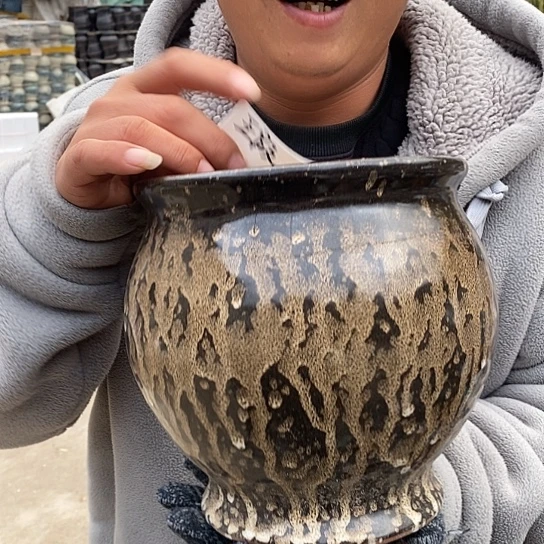 瑕疵颜色不挑瑕疵