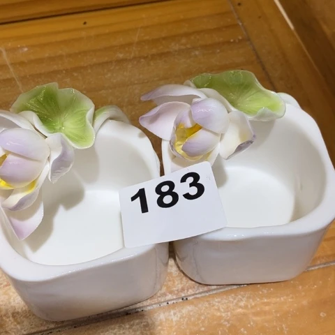 花花绿绿咯哦哦哦哦哦啊咯哦哦哦哦