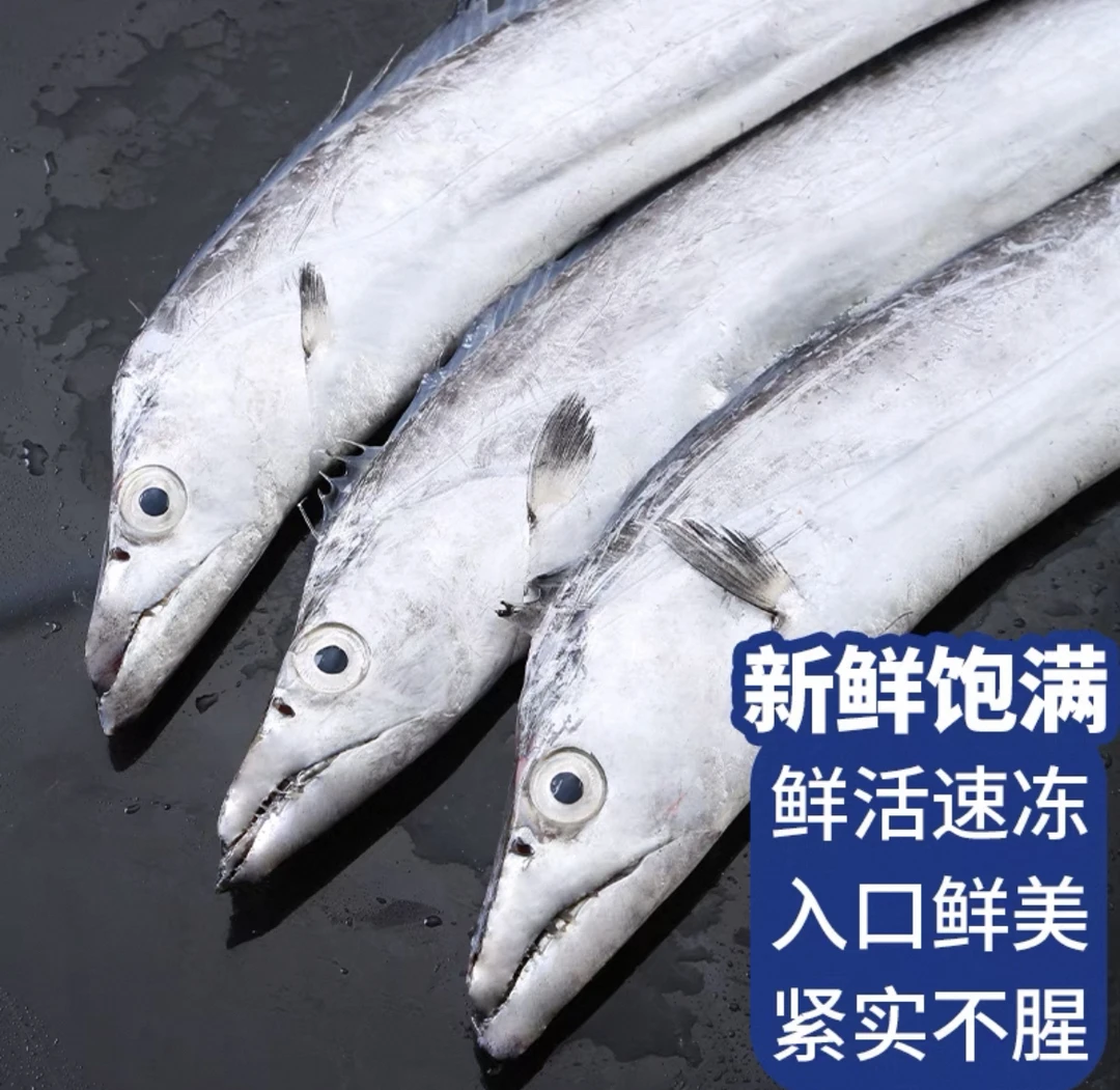 野生带鱼刀鱼深海捕捞连云港发货无冰鲜美可蒸煮 顺丰冷链