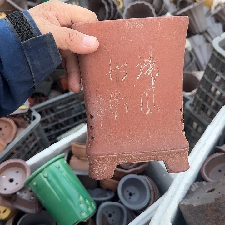 是一个不知名作家与著名导演兼电影演员