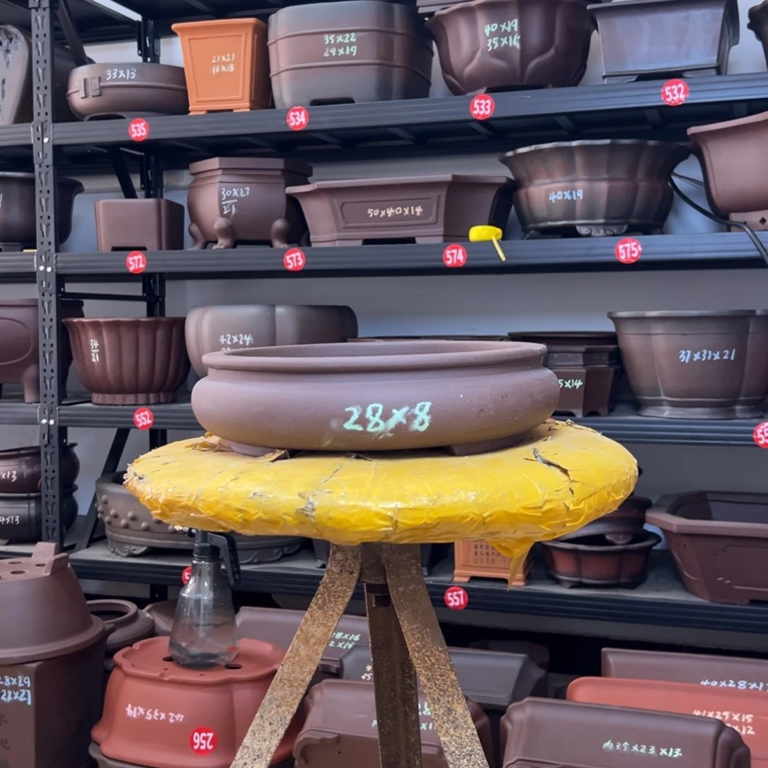 紫砂花盆呜呜呜呜呜我