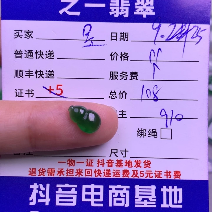颈饰未镶嵌翡翠是*臣