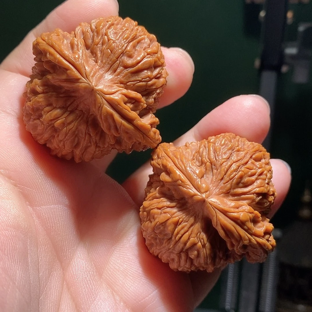 文玩核桃把件46粗筋南疆石全品