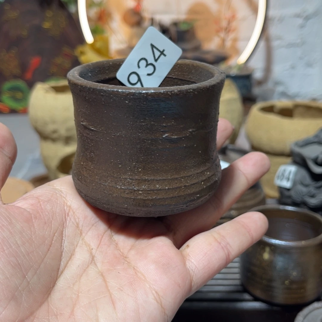 木村信弘柴烧保平