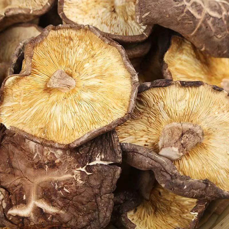 云南野生菌剪掉根的（香信菇干）鲜香四溢非常好吃